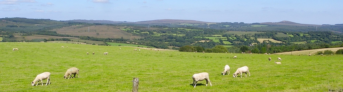 Paysage des Monts d'Arrée