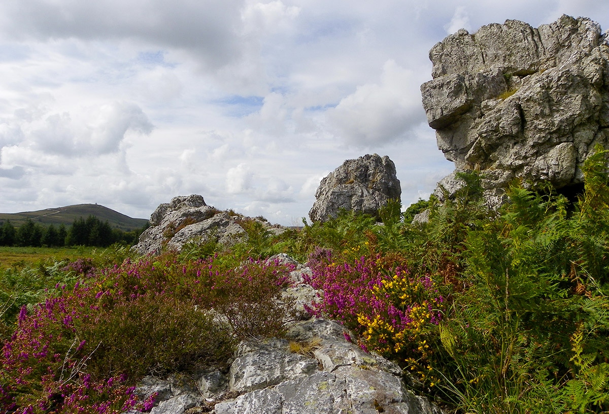 Paysage des Monts d'Arrée